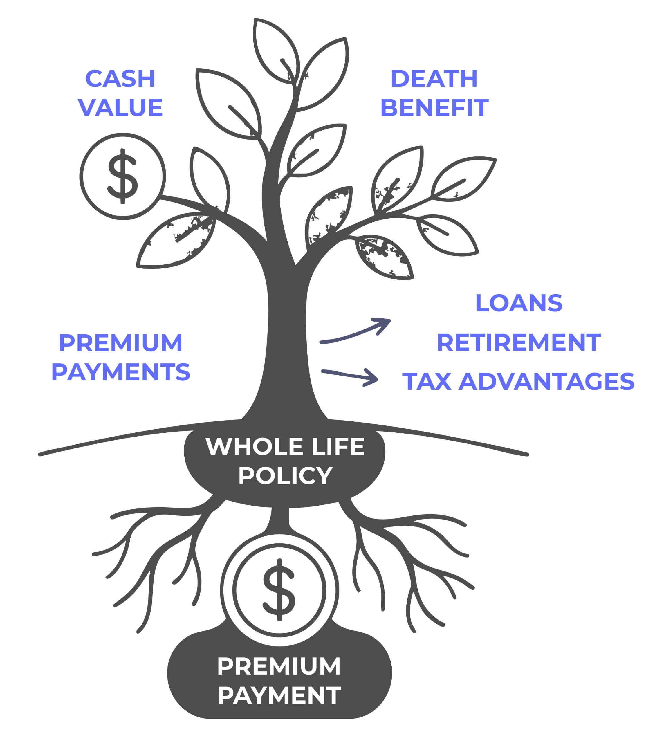 whole-life-graphic Whole Life insurance